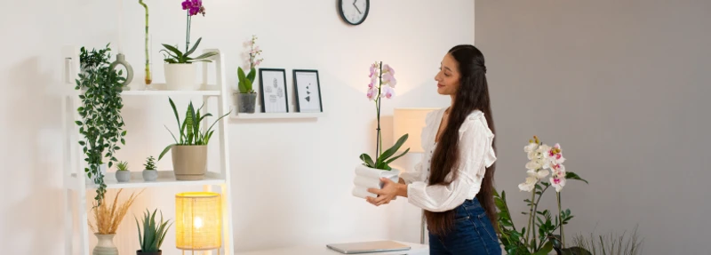 Como Decorar Apartamento Pequeno: Guia Completo