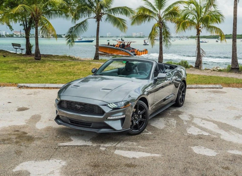 Dream Auto Rental