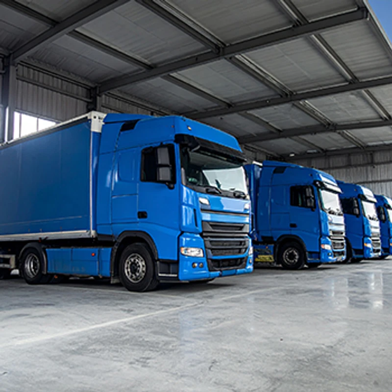 Bacellar Investimentos