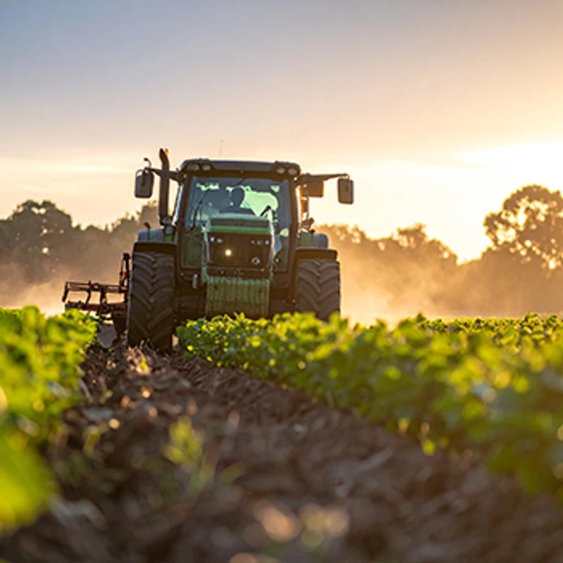 Bacellar Investimentos