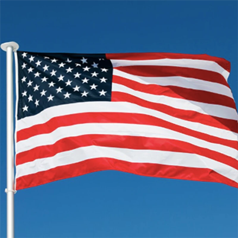 Bacellar Investimentos