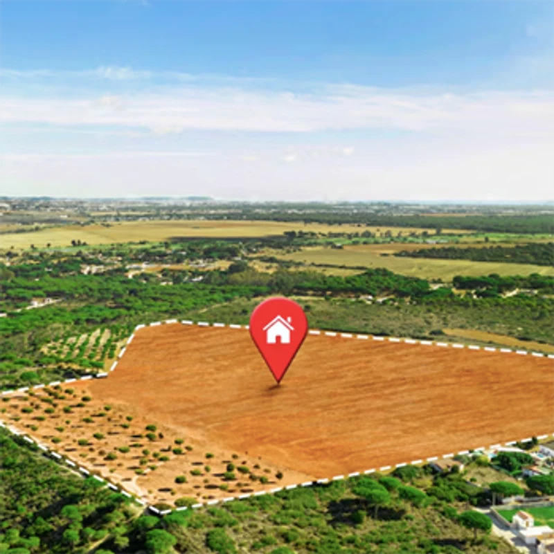 Bacellar Investimentos