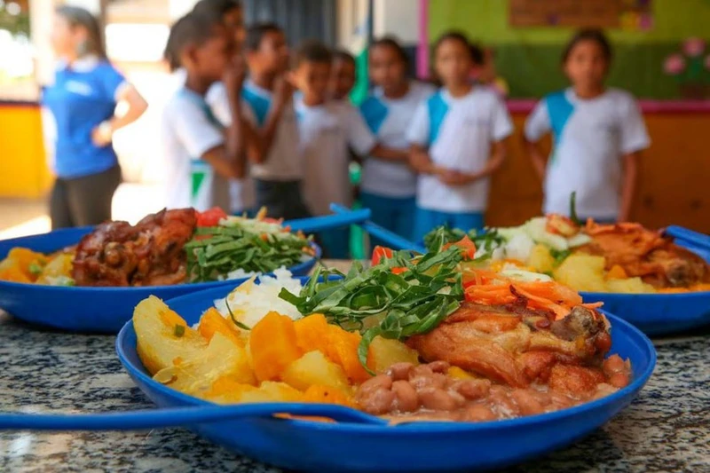 Alimentação escolar: conheça a área que está crescendo cada vez mais!