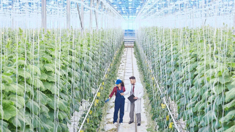 Quais as vantagens do curso técnico em agronegócio