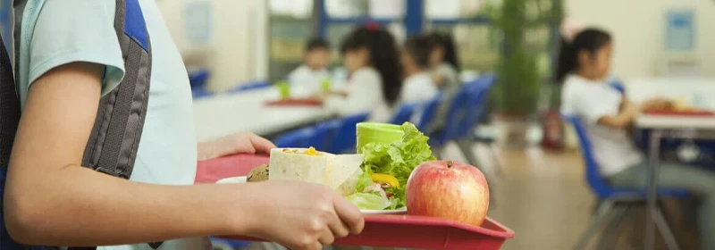 Qual especialização em alimentação escolar devo fazer?